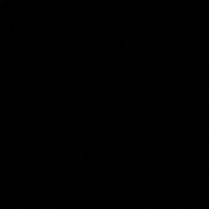 Meet your Posher, Ziana